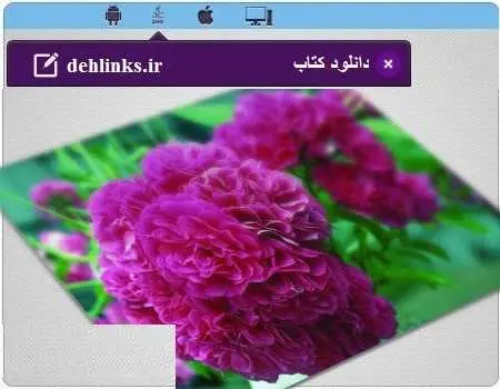 دانلود pdf کتاب دانستنی های زناشویی رایگان