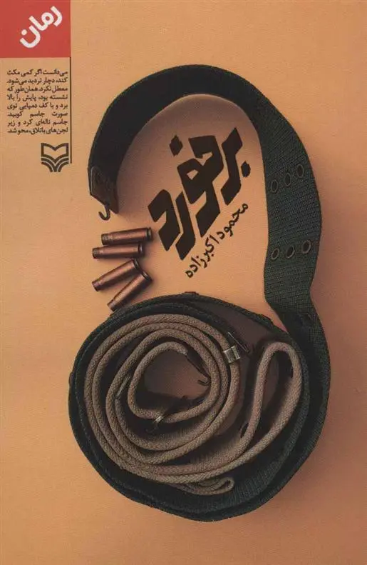 دانلود pdf کتاب برخورد محمود اکبرزاده