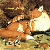 خرید و قیمت کتاب بچه های حیوانات اثر هاری مک نات
