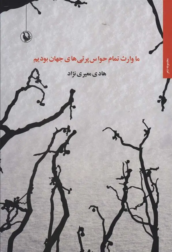 دانلود pdf کتاب ما وارث تمام حواس پرتی های جهان بودیم هادی معیری نژاد