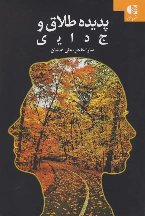 دانلود pdf کتاب پدیده طلاق و جدایی سارا حاجلو