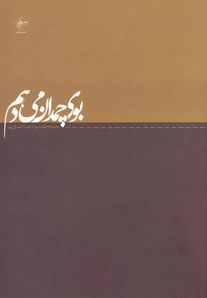 دانلود pdf کتاب بوی چمدان می دهم رضا احسان پور