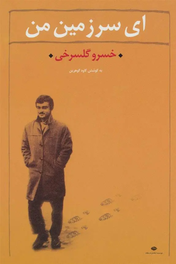 خرید و قیمت کتاب ای سرزمین من اثر خسرو گلسرخی