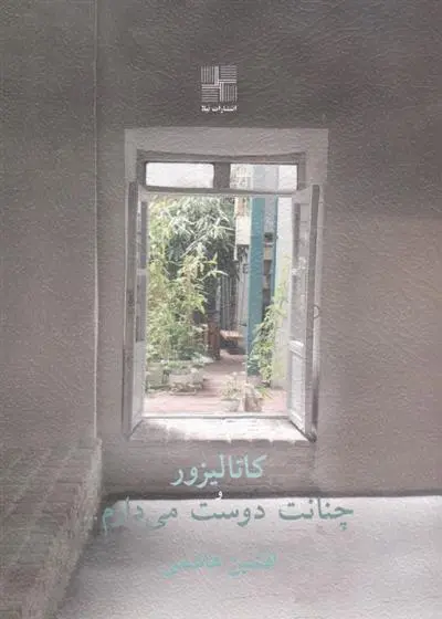 دانلود pdf کتاب کاتالیزور و چنانت دوست می دارم... افشین هاشمی