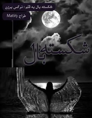 دانلود pdf رمان شکسته بال