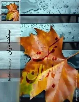 دانلود pdf رمان نیمکت باران