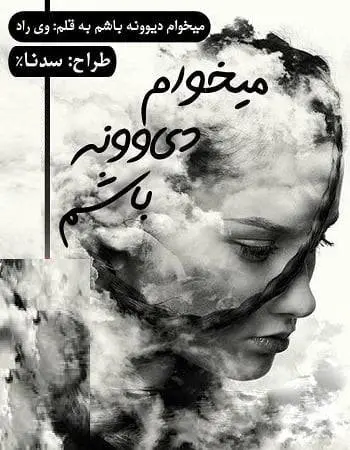 دانلود pdf رمان می خوام دیوونه باشم