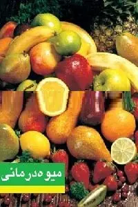 دانلود pdf کتاب میوه درمانی رایگان
