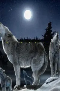 دانلود pdf کتاب آوای غریب رایگان