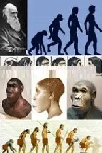 دانلود pdf کتاب فرضیه شجره و خلقت نخستین انسان ها رایگان