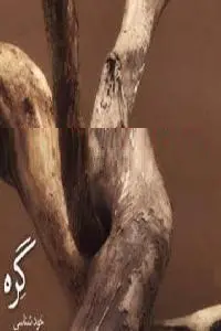 دانلود pdf کتاب گره خودشناسی رایگان