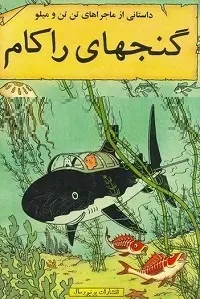 دانلود pdf کتاب گنجهای راکام رایگان