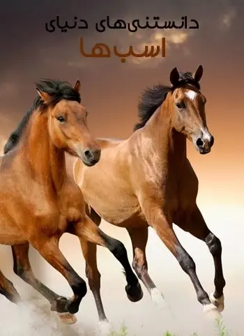 دانلود pdf کتاب دانستنی‌های دنیای اسب‌ها رایگان