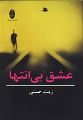 دانلود pdf کتاب عشق بی انتها زینت حسنی