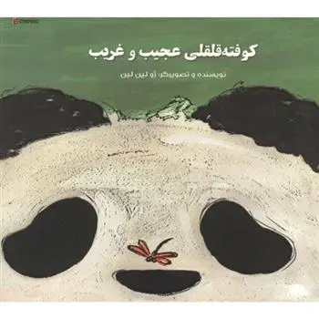 دانلود pdf کتاب کوفته قلقلی عجیب و غریب ژو لین لین