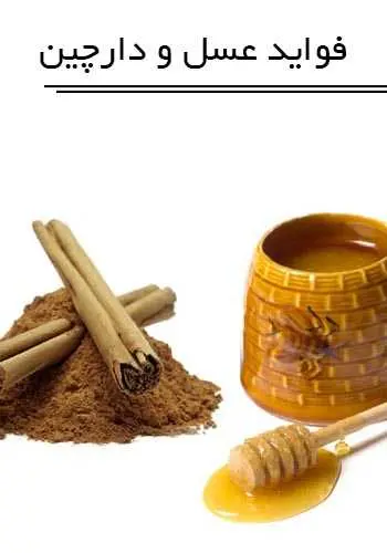 دانلود pdf کتاب فواید دارویی عسل و دارچین سیدمسلم فاطمی‌مقدم رایگان