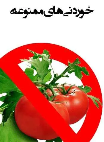 دانلود pdf کتاب خوردنی‌های ممنوعه سیدمسلم فاطمی مقدم رایگان