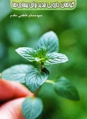 دانلود pdf کتاب گیاهان، دارویی جدید برای بیماری‌ها سیدمسلم فاطمی مقدم رایگان