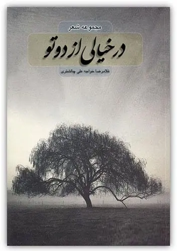 دانلود pdf کتاب شعر در خیالی از دوتو غلامرضا خواجه علی چالشتری رایگان