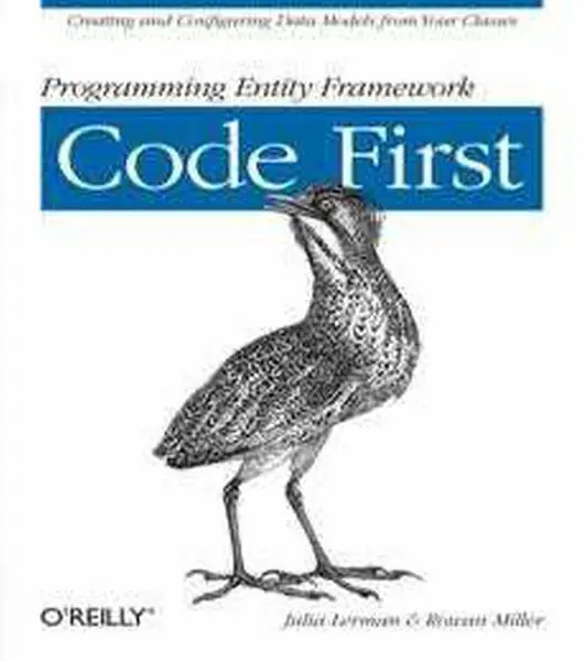 دانلود pdf کتاب Programming Entity Framework Code First رایگان