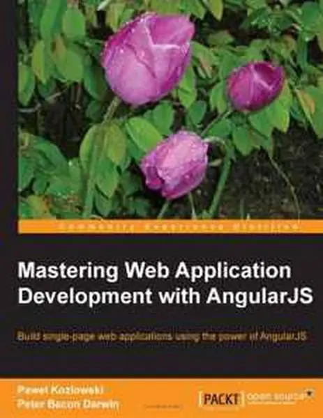 دانلود pdf کتاب Mastering Web Application Development with AngularJS رایگان