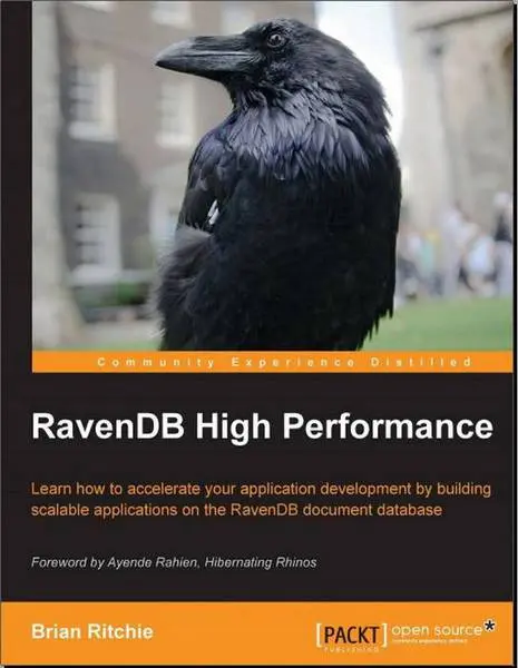دانلود pdf کتاب RavenDb High Performance رایگان