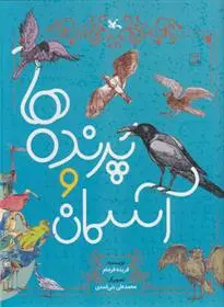 خرید و قیمت کتاب پرنده ها و آسمان اثر فریده فرجام