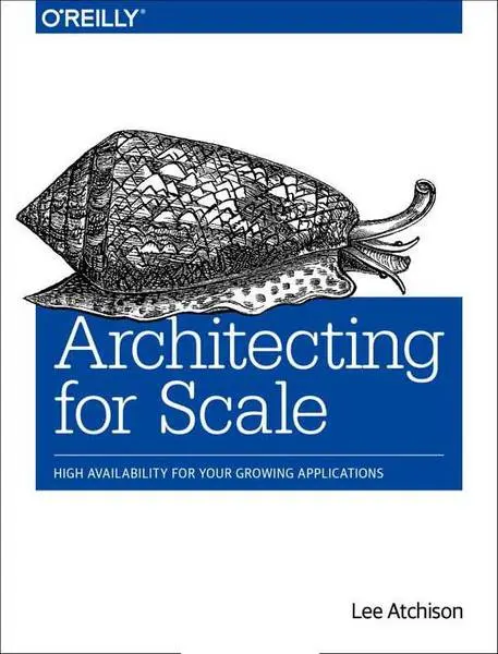 دانلود pdf کتاب Architecting for Scale رایگان