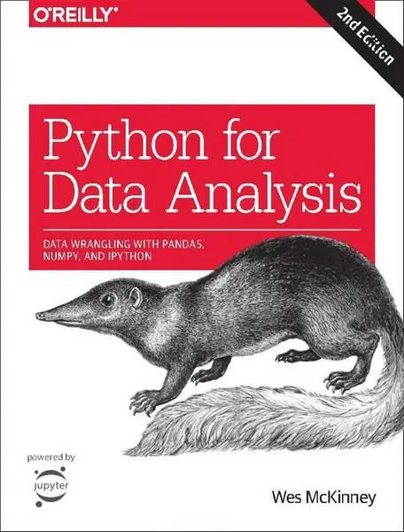 دانلود pdf کتاب Python for Data Analysis 2nd Edition رایگان