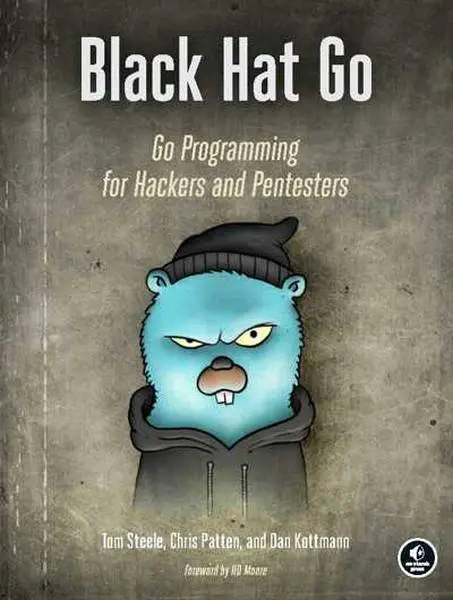 دانلود pdf کتاب Black Hat Go: Go Programming For Hackers and Pentesters رایگان