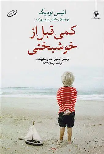 دانلود pdf کتاب کمی قبل از خوشبختی انیس لودیگ