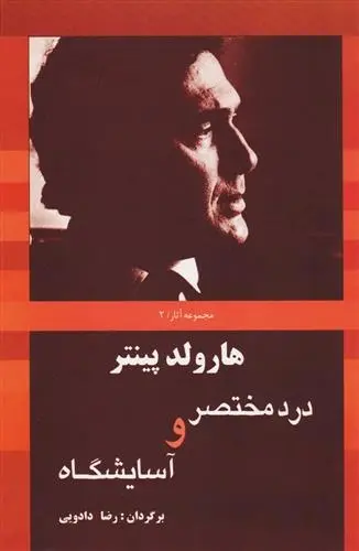 دانلود pdf کتاب درد مختصر و آسایشگاه هارولد پینتر