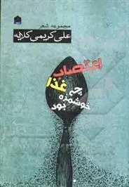 دانلود pdf کتاب اعتصاب غذا چه خوشمزه بود علی کریمی کلایه