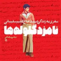 دانلود pdf کتاب نامزد گلوله ها مرتضی سرهنگی