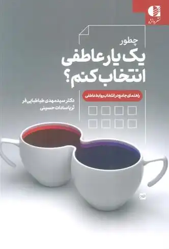 دانلود pdf کتاب چطور یک یار عاطفی انتخاب کنم؟ مهدی طباطبایی فر