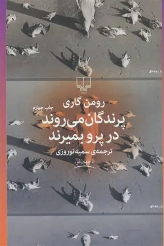 دانلود pdf کتاب پرندگان می روند در پرو بمیرند رومن گاری