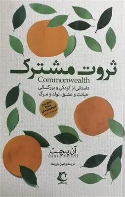 دانلود pdf کتاب ثروت مشترک آن پچت