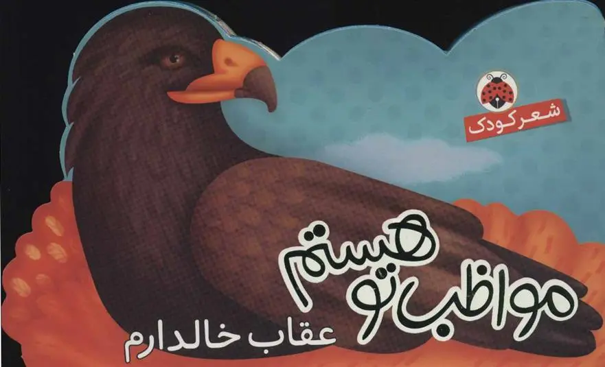 دانلود pdf کتاب مواظب تو هستم کبری بابایی