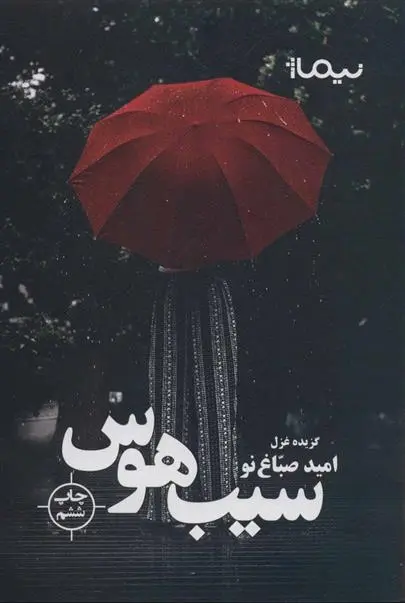 دانلود pdf کتاب سیب هوس امید صباغ نو