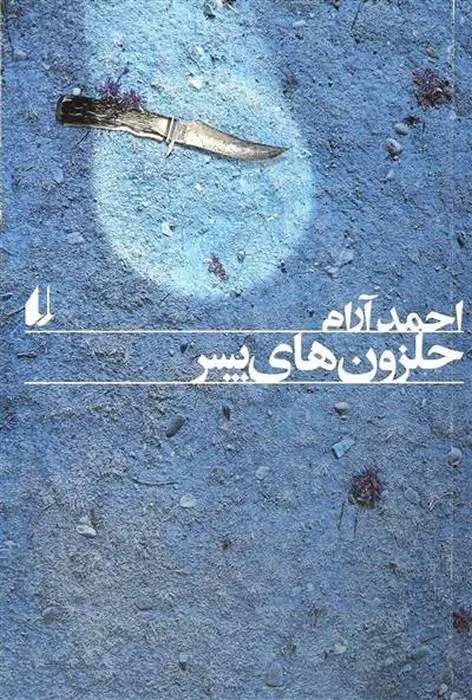 دانلود pdf کتاب حلزون های پسر احمد آرام