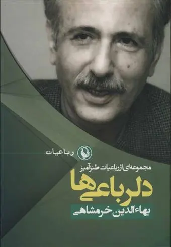 دانلود pdf کتاب دلرباعی ها بهاءالدین خرمشاهی