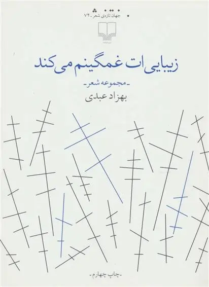 دانلود pdf کتاب زیبایی ات غمگینم می کند بهزاد عبدی