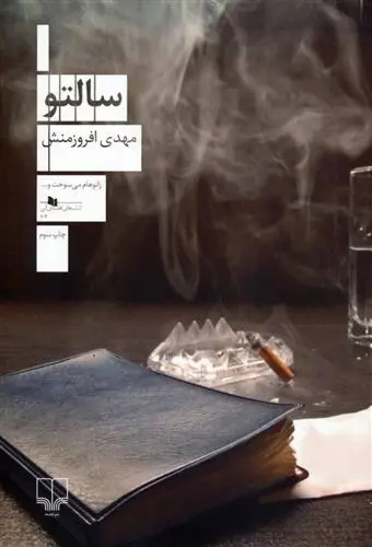 دانلود pdf کتاب سالتو مهدی افروزمنش