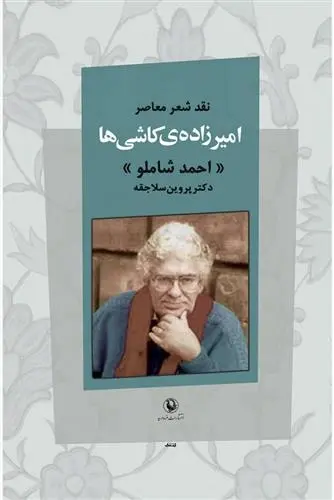 دانلود pdf کتاب امیرزاده ی کاشی ها پروین سلاجقه