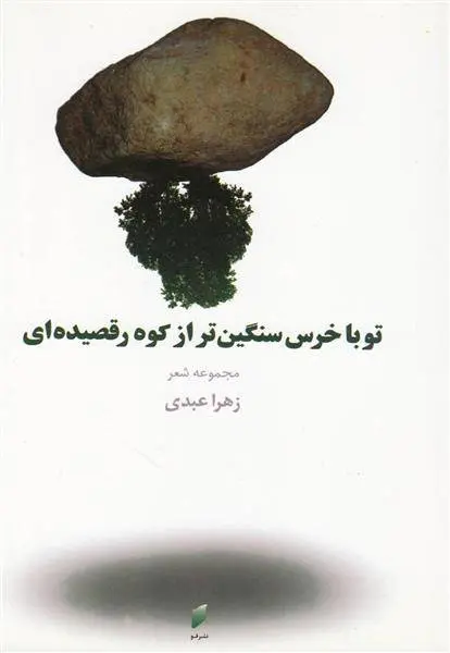 دانلود pdf کتاب تو با خرس سنگین تر از کوه رقصیده ای زهرا عبدی