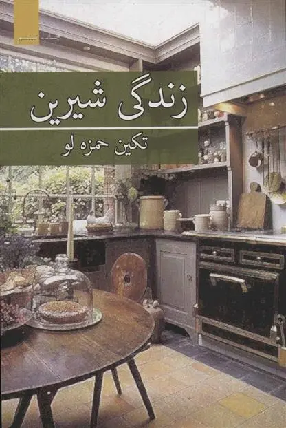 دانلود pdf کتاب زندگی شیرین تکین حمزه لو