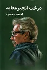 دانلود pdf کتاب درخت انجیر معابد (۲ جلدی) احمد محمود