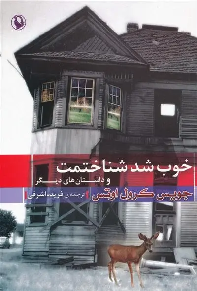 دانلود pdf کتاب خوب شد شناختمت و داستان های دیگر جویس کارول اوتس