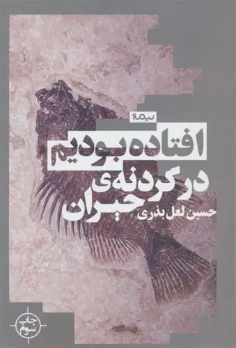 دانلود pdf کتاب افتاده بودیم در گردنه ی حیران حسین لعل بذری
