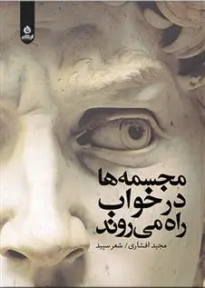 دانلود pdf کتاب مجسمه ها در خواب راه می روند مجید افشاری